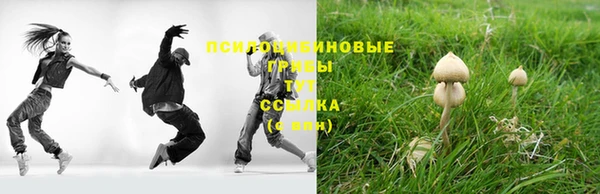 стафф Нязепетровск