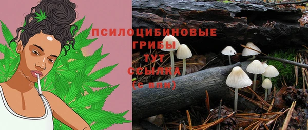 прущая мука Вуктыл