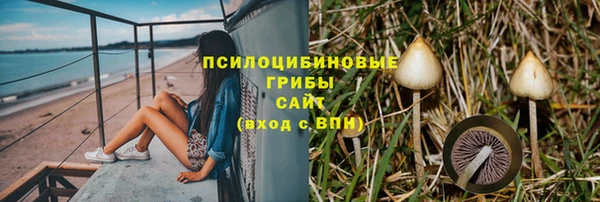 стафф Нязепетровск