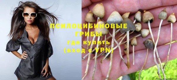 дурь Осташков