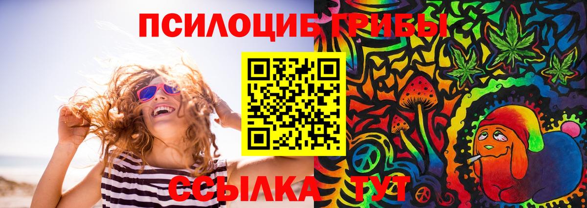 Псилоцибиновые грибы Cubensis Петровск