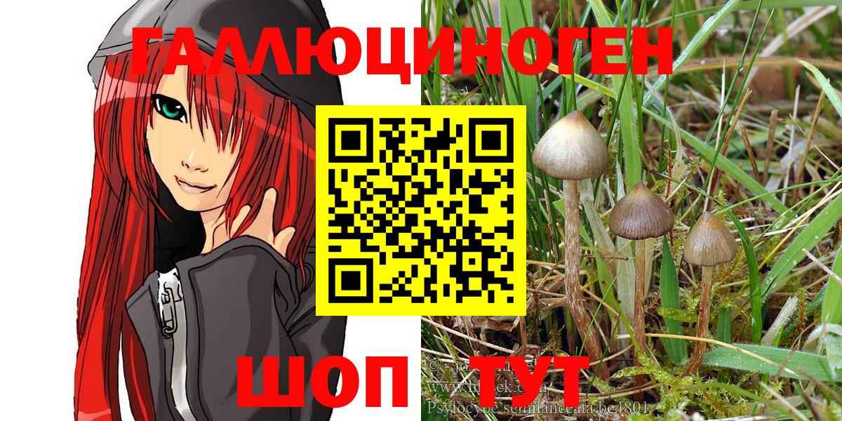 Псилоцибиновые грибы Psilocybine cubensis  Псилоцибиновые грибы Cubensis  Петровск 