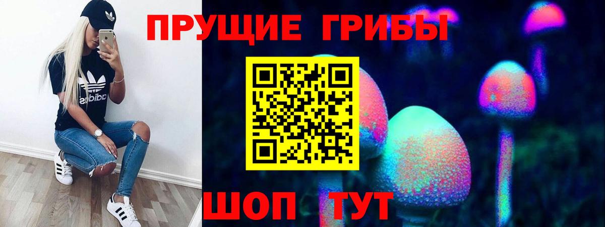 Петровск  Галлюциногенные грибы мицелий  Вход с VPN 