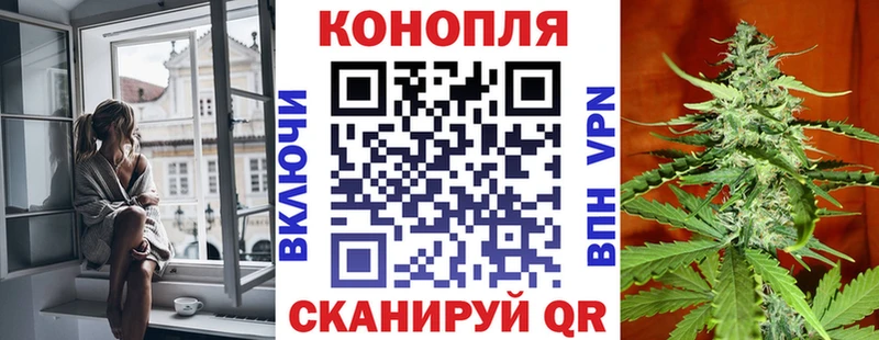 даркнет наркотические препараты  MEGA зеркало  Петровск  где купить   Бошки марихуана планчик 