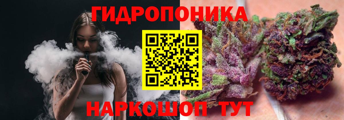 Конопля индика  Петровск  МАРИХУАНА White Widow 